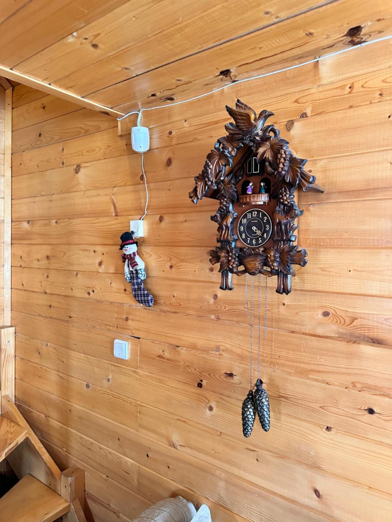 Alpine Ski Chalet Borovets With Sauna Esterno foto
