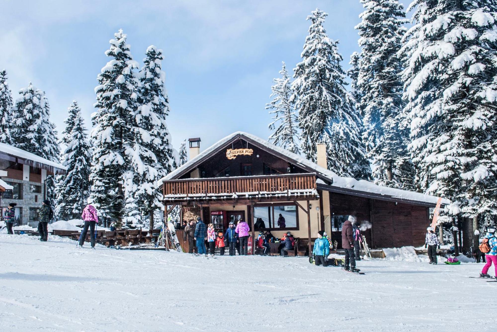 Alpine Ski Chalet Borovets With Sauna Villa Esterno foto