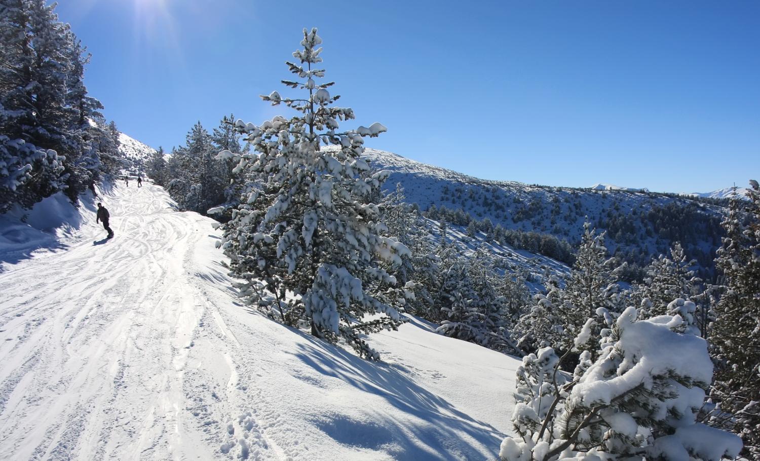 Alpine Ski Chalet Borovets With Sauna Villa Esterno foto