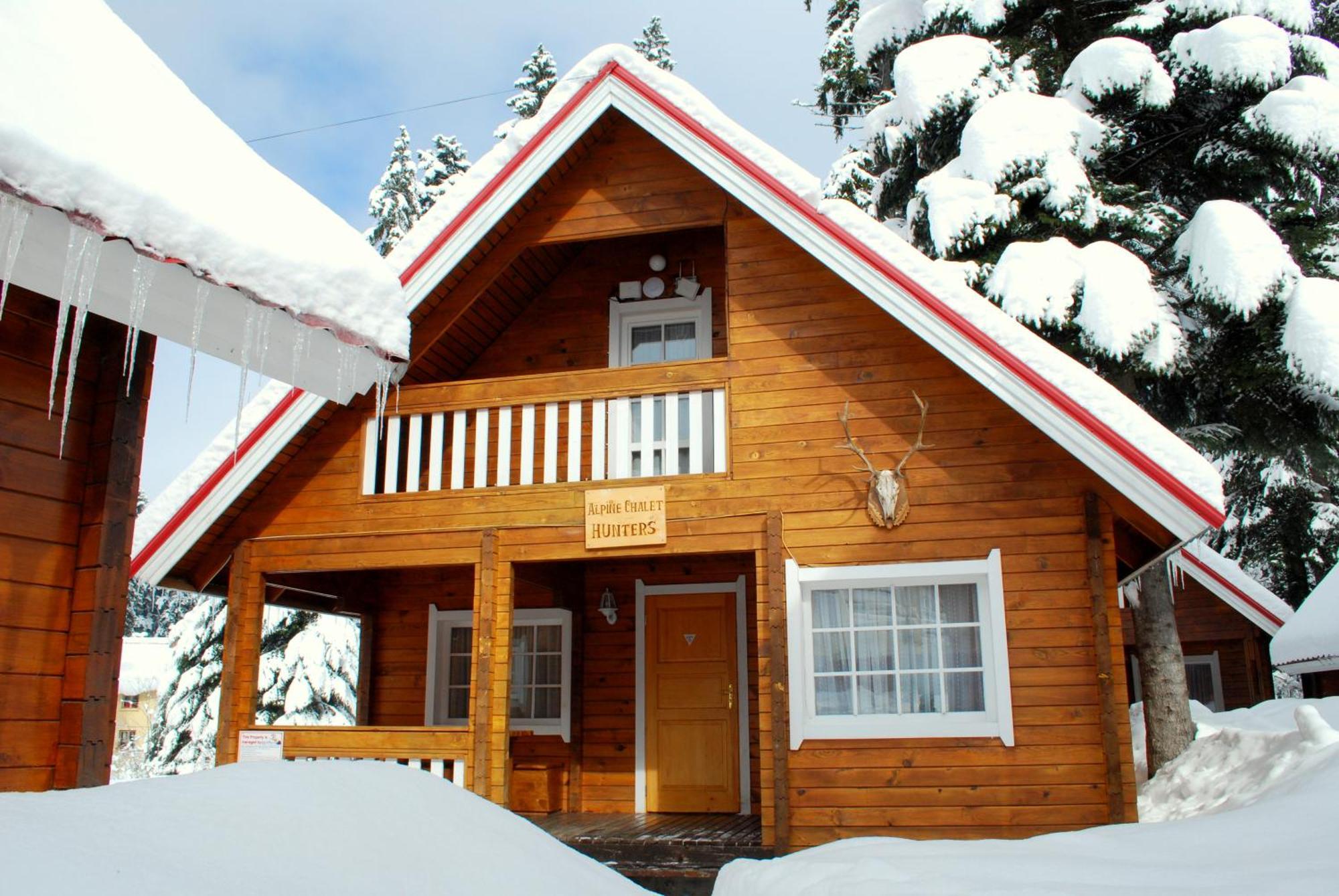 Alpine Ski Chalet Borovets With Sauna Esterno foto