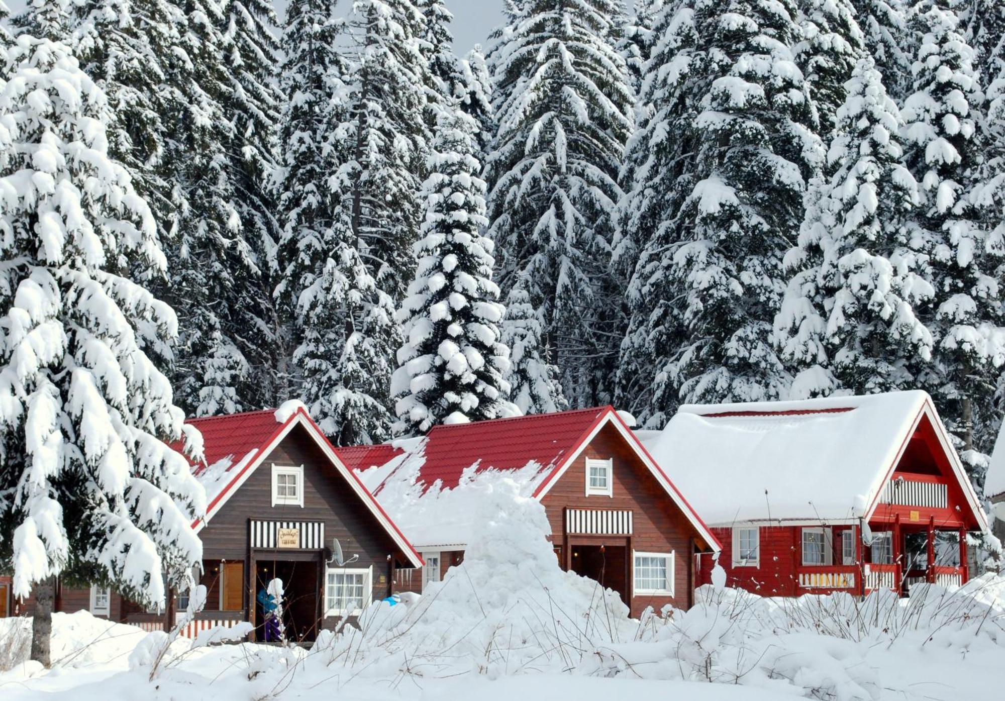Alpine Ski Chalet Borovets With Sauna Esterno foto