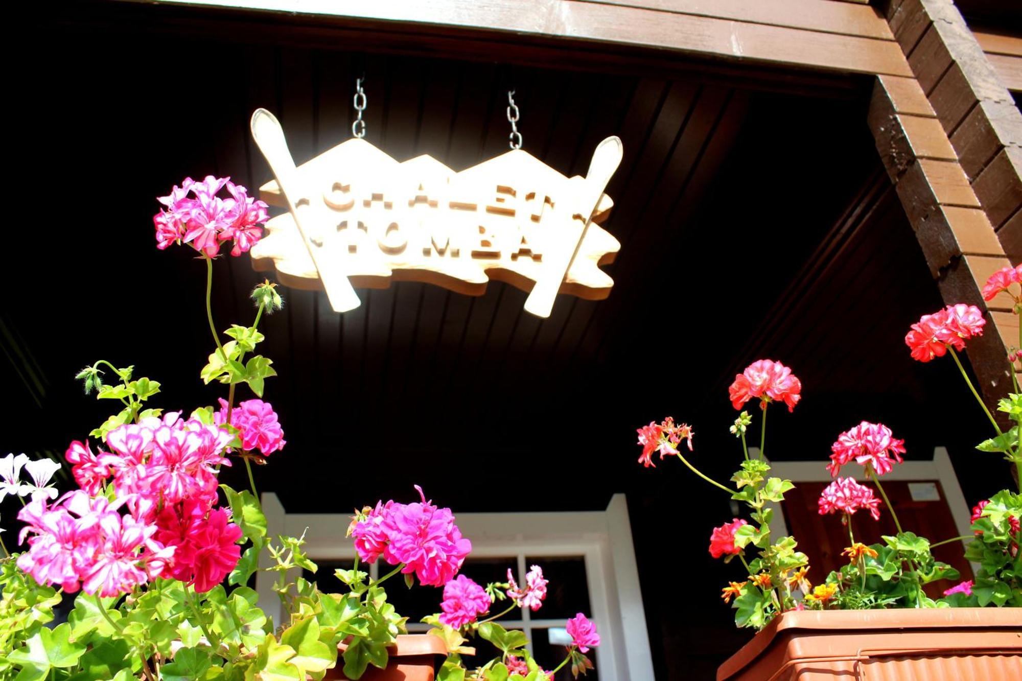Alpine Ski Chalet Borovets With Sauna Esterno foto