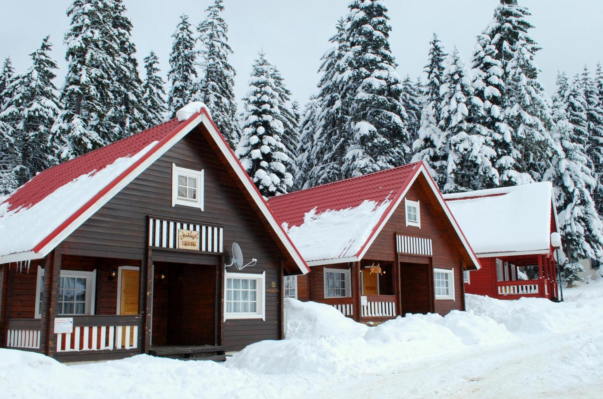 Alpine Ski Chalet Borovets With Sauna Esterno foto