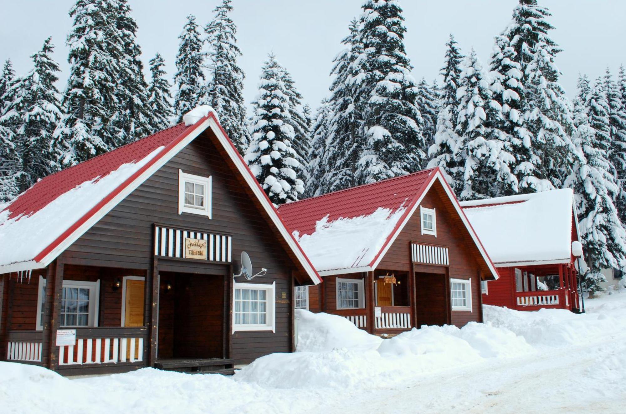 Alpine Ski Chalet Borovets With Sauna Villa Esterno foto