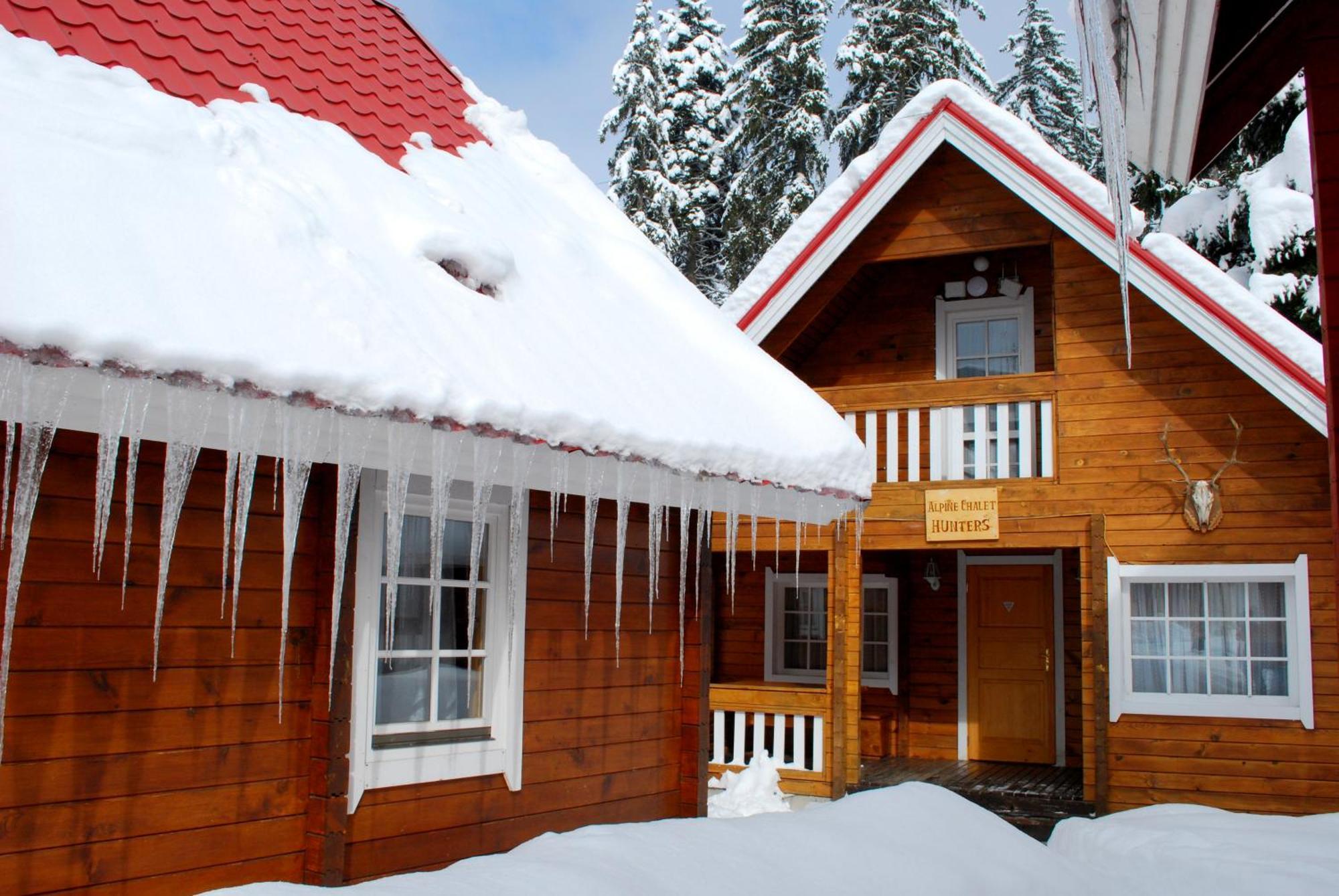 Alpine Ski Chalet Borovets With Sauna Camera foto